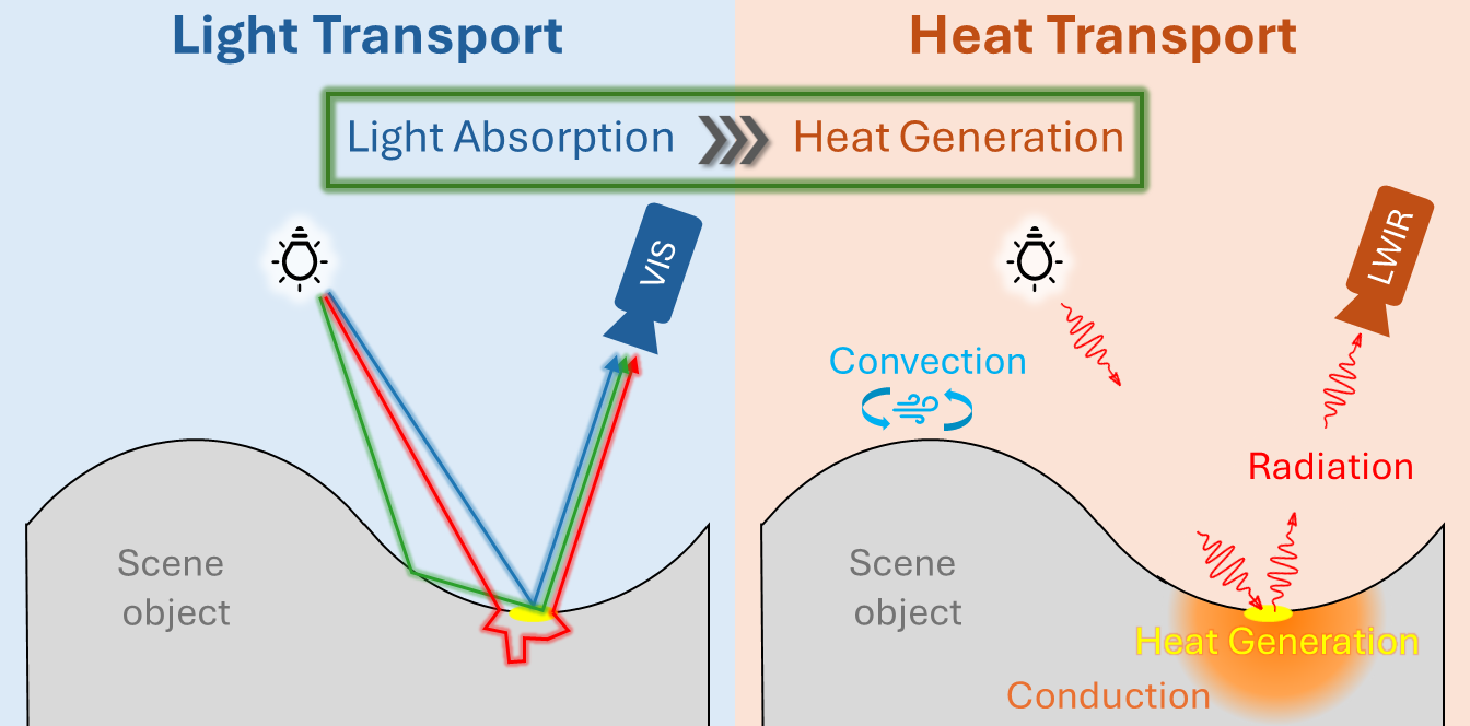 Joint light and heat transport theory research